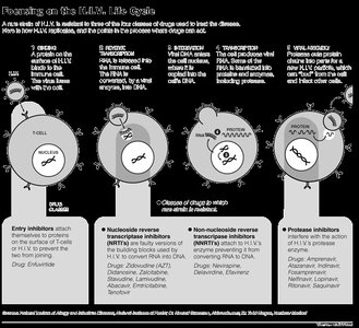HIV life cycle and drug targets