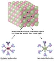 Interaction of sodium and chlorine to form an ionic bond
