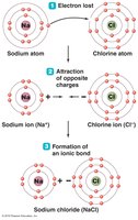 Dissociation of NaCl in water
