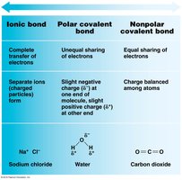 Comparison of bond types