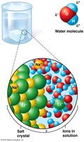 Water as a solvent