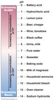 pH scale