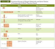 Functional groups table