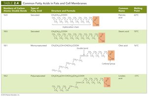 Fatty acids