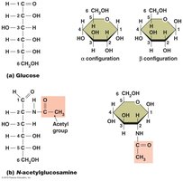 Monosaccharides