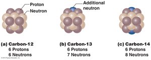 Nuclei of the three naturally occurring isotopes of carbon