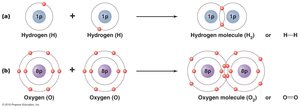 Structural formulas of covalent bonds