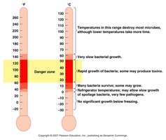 Temperature ranges and microbial growth, including the danger zone for food safety