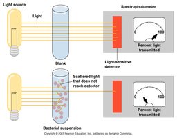 Turbidity measurement using a spectrophotometer