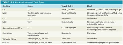Key Cytokines and Their Roles