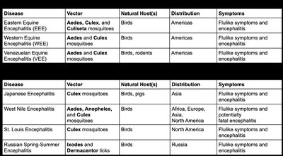 Arboviral encephalitis table
