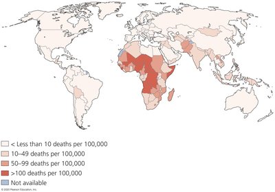 Global map of rotavirus-related deaths in children under five