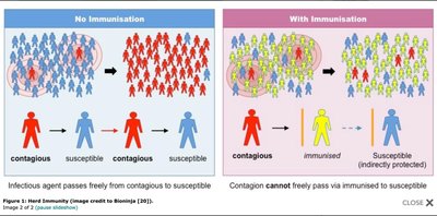 Diagram illustrating herd immunity with and without immunization