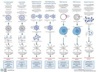 Comparison of vaccine types and their mechanisms