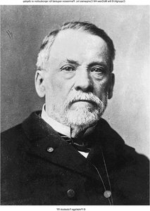 Portrait of Louis Pasteur