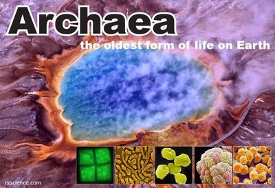 Archaea: the oldest form of life on Earth