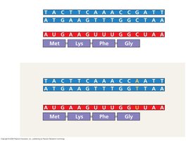 Silent mutation