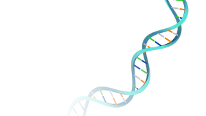 DNA double helix
