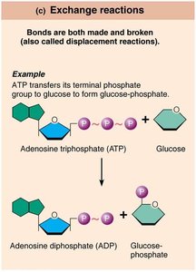 Redox reaction: electron transfer