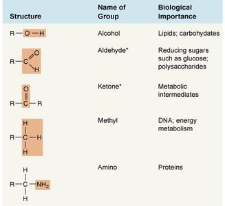 Representative functional groups