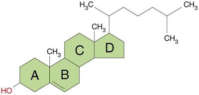Cholesterol structure