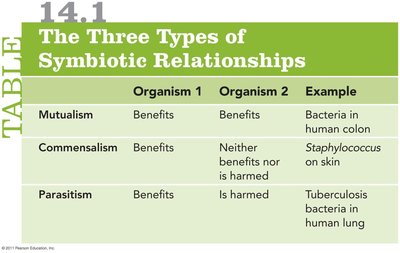 Table of the three types of symbiotic relationships