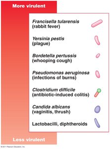Relative virulence of microbial pathogens