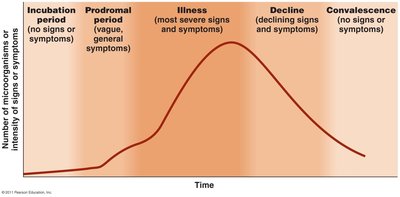 Graph of the stages of infectious disease