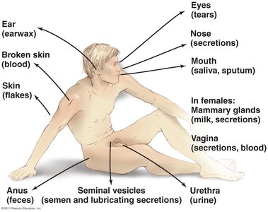 Diagram of portals of exit for pathogens