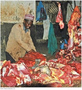 Poorly refrigerated foods as reservoirs for pathogens