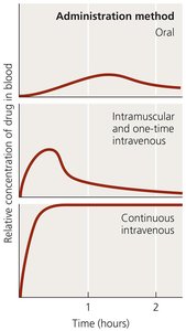 Graph showing effect of administration route on blood drug levels