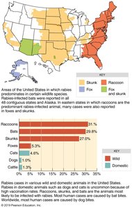 Rabies distribution and animal reservoirs in the US