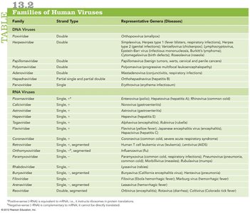 Families of human viruses table