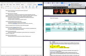 Table of microbial growth control methods