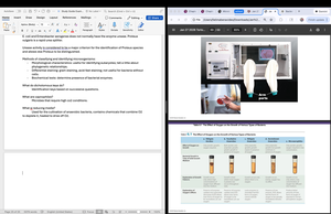 Table of biochemical tests for bacteria