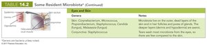 Table of resident microbiota in eyes and skin