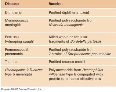 Table of common vaccines and their components