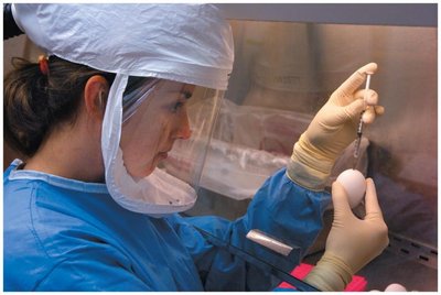 Scientist preparing influenza vaccine in eggs