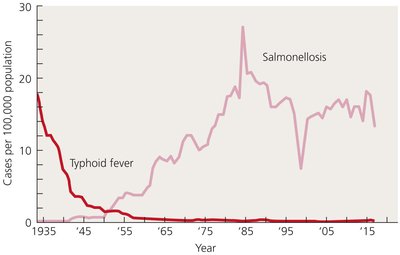 Incidences of Diseases Caused by Salmonella in the United States