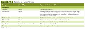 Table: Families of Human Viruses (DNA viruses)