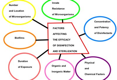 Factors affecting the efficacy of disinfection and sterilization