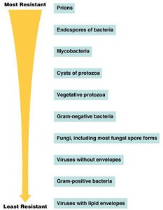 Microbial resistance hierarchy diagram
