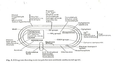Diagram of main targets for non-antibiotic antibacterial agents