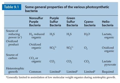 Table of general properties of photosynthetic bacteria