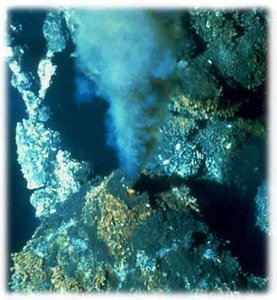 Hydrothermal vent community