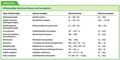 Table of lithotrophy: electron donors and acceptors