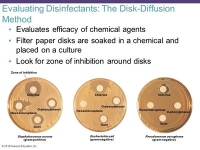 Disk-diffusion method for evaluating disinfectants