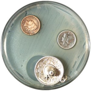 Heavy metals in antimicrobial action