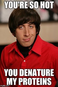 Denaturation of proteins by heat meme