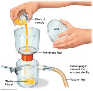 Membrane filtration setup